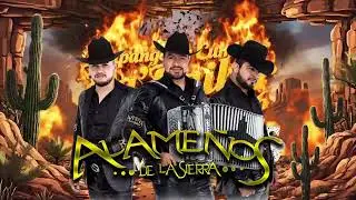 Mix Los Alameños De La Sierra 🎵 Huapangos y Cumbias Pa’Bailar 2025 – Éxitos Sierreños Mega Mix