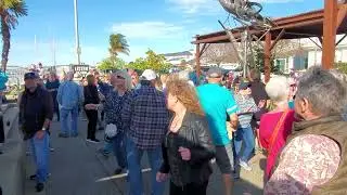Boys of Summer  covered by Dutch Uncle Band Port of Redwood City at Seaport 3-26-2022