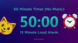 50 Minute Timer ⏰⏰⏰