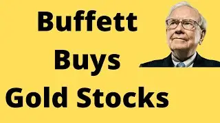 Warren Buffett Buys Gold Mining Stocks, Sells Bank Stocks!