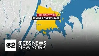 Bronx has highest senior poverty rate in state, study finds