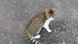 Meeting Nuts