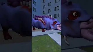 NEXTBOTS В PLAYGROUND MOD Заражённые животные #roblox #nextbots #seek #skibiditoilet #nextbotchase