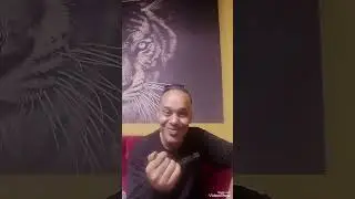 عريس سيدى بشر والكوميديا السوداء 😳😂