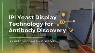 Yeast Display Technology for Antibody Discovery | IPI Course 2025