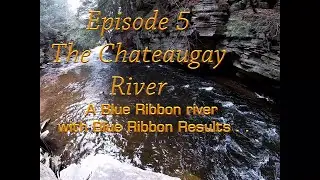 Adirondack Adventures (ep.5) The Chateaugay River | Blue ribbon river Blue ribbon results