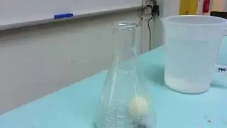 Egg out of Flask