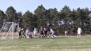 Knights vs Beatrice