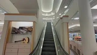 Montgomery Twinkie M escalators at Discount Collection (fmr Macy&rsquo;s) South Hill Mall Puyallup WA
