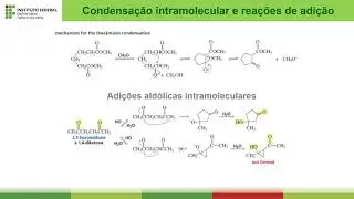 Cap  19 Tópico 9 Condensação intramolecular e reações de adição