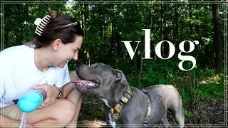 vlog | meal prep, pielęgnacja roślin
