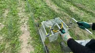 「畝が曲がってても不均等でも、株元にピッタリ合わせて」 畝間の除草剤散布器 白ネギ アジャスタブルスプレーヤ