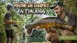 P&Ecirc;CHE DE CARPES EN STALKING | P&ecirc;che en stalking avec Thomas, rep&eacute;rage et strat&eacute;gies.
