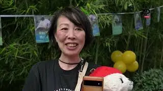 Japan-born panda Xiang Xiang celebrates seventh birthday after repatriation to China