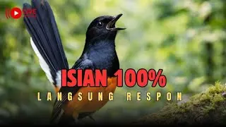 🔴LIVE 102 - MASTERAN MURAI BATU: PUTAR 10 MENIT SAJA LANGSUNG NGERESPON