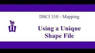 DSCI 310: Creating a Map in Tableau Using a Unique Shape File