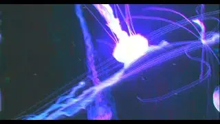 Tovigeri7 - Hazumi [ Spur of the moment ]
