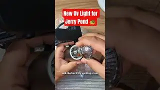 🔴New UVB light For Jerry Pond😱🐢 #shorts #fishtank#redearedslider #fish#turtle#aquarium#tips#reptiles