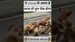 Funny video banadi(2)