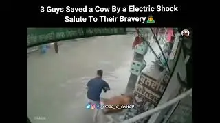 True Act Of Bravery 👏🏻❤️  @mad_d_cent09
