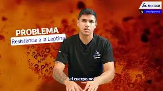 🧠🍽️ &iquest;Sab&iacute;as que una hormona llamada leptina controla tu apetito desde el cerebro?