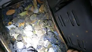 Finding treasure while night scrapping.