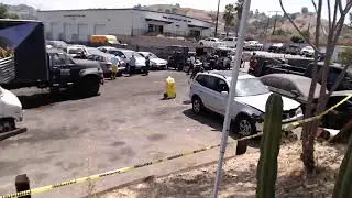 Viertel's Northeast/Central Los Angeles OPG Auction