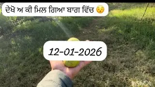 ਅੱਜ ਆਏ  ਬਾਗ ਵਿੱਚ ✌🏻