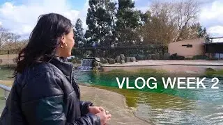 VLOG WEEK 2 - TRIP TO ZOO || KELS PEEBLES