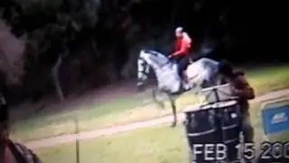 GRIFFITH PARK DRUM CIRCLE (DANCING HORSE) A G.P. STORY