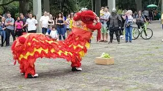 Dan&ccedil;a do drag&atilde;o Kung Fu TSKF
