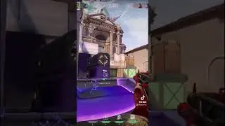 Cheeky lil ace from earlier today