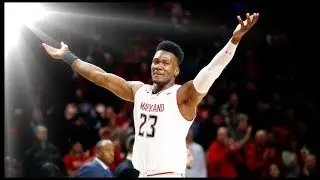 Bruno Fernando 2019 Top Highlights BEAST