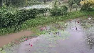 Dindi Resorts# Andhra Pradesh