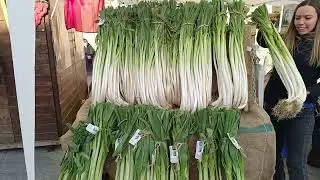 Fiera San Martino a Bruino