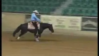 Nico Hörmann & Yankee Bambino NRHA Breeders Derby 2006 Novice Horse Open Champion