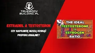 Эстрадиол против тестостерона &ndash; действительно ли они должны расти пропорционально?