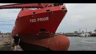 Yed Prior