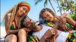🌴 Hawaiian Chill Reggae – Laid-Back Island Vibes for Pure Relaxation ☀️