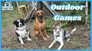 Outdoor Dog Training Games To Play This Summer!