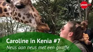 Levende krokodil in handen I Caroline in Kenia #7