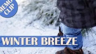 MEMO CLIP - Winterbreeze