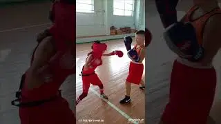 Дарья Пантелеева и #Маргарита Михалёва 🌹 бокс 🥊 @ВалерийМихалёв-ъ6ч #boxing #music #pop #song #ma