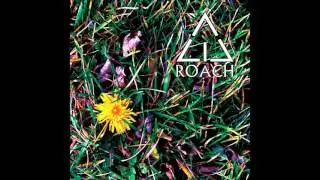 Acid Roach - Soft Rains