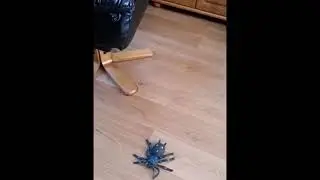 spinfilm 1
