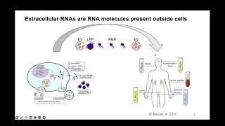 CFDE Public Webinar Series August 29th, 2025 - exRNA