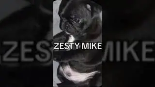 Zesty mike