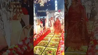 👑 Royal Entry Decoration ll Saini Decoration Studio ll SDS ll