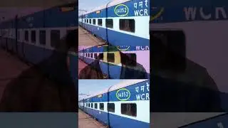 Clone Train Ka Naam Sunna Hain ?? 🤔🤨😋 #shorts #shortsfeed #ytshorts
