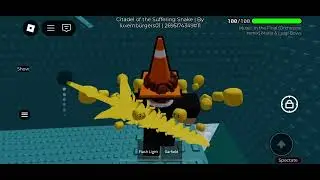 CoTSS verification footage